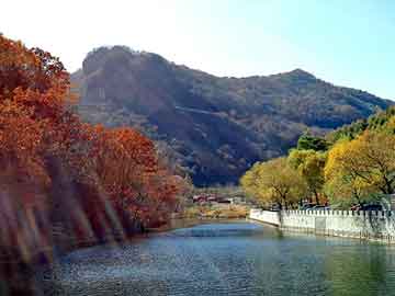 澳门天天开奖免费资料，小说神圣巨龙魔法师